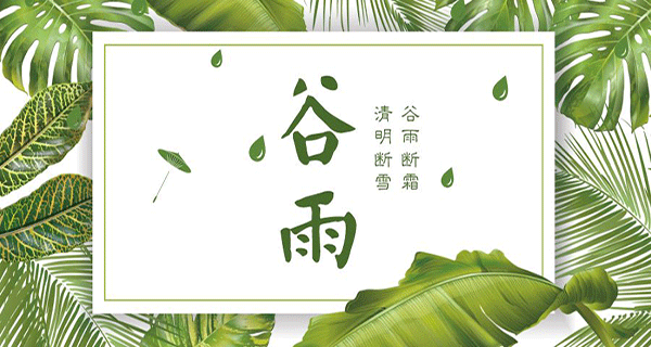 諾?；?| 雨生百谷萬(wàn)物生發(fā)